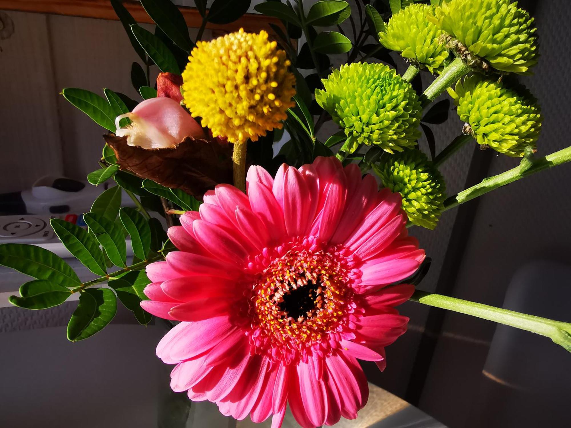 Seerose Boutique-Pension Tating Chambre photo